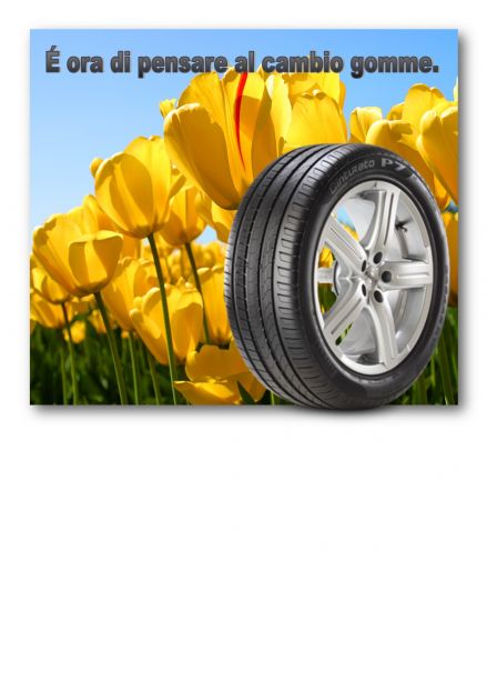 blume.jpg